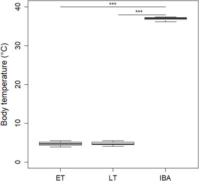 Dynamic Function and Composition Shift in Circulating Innate Immune Cells in Hibernating Garden Dormice